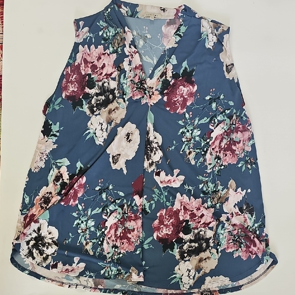 Beacon Floral Sleeveless Blouse in Blue and Pink - Picture 1 of 5